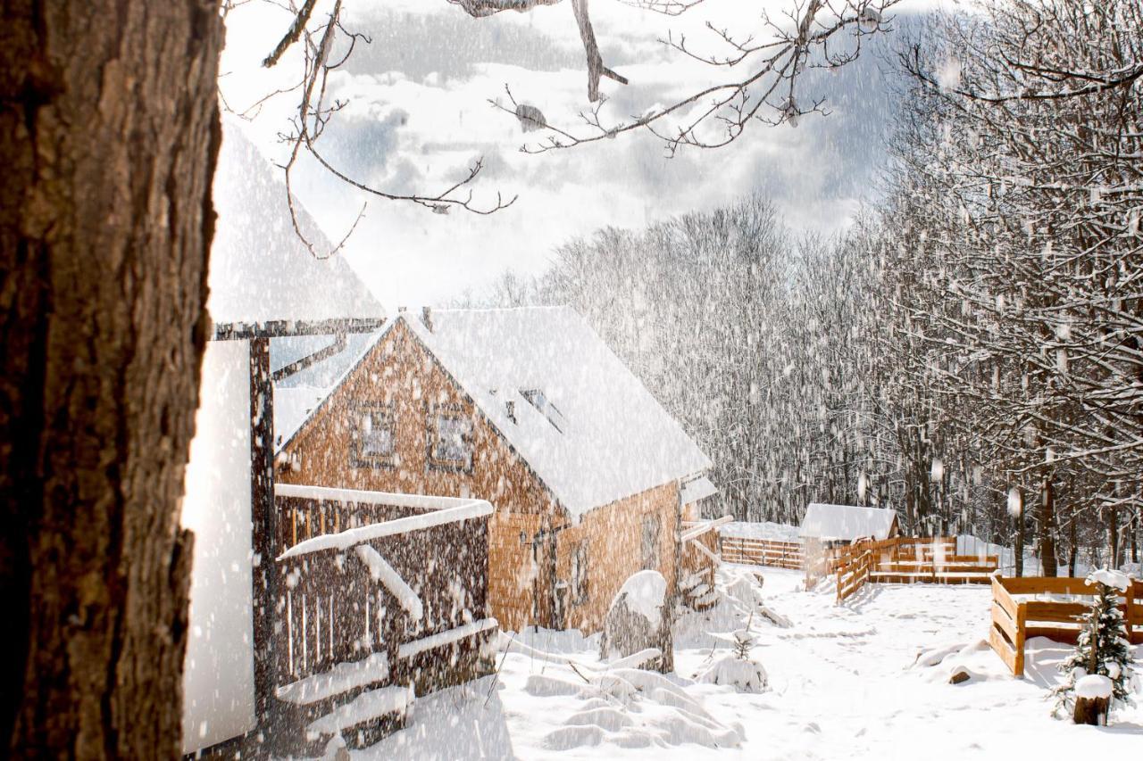 Chalupy Pod Lipami Szklarska Poręba Exterior foto