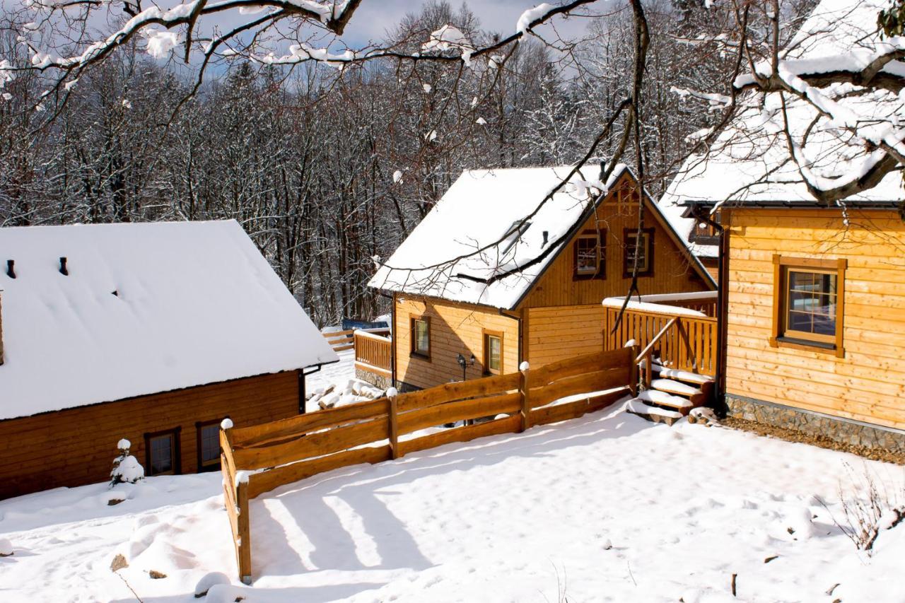 Chalupy Pod Lipami Szklarska Poręba Exterior foto